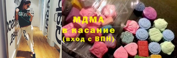 индика Новодвинск