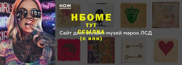 индика Новодвинск