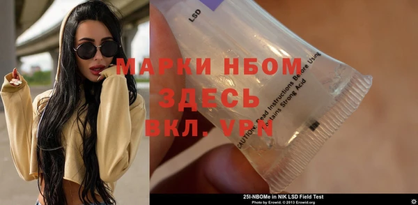 шишки Бикин