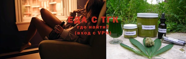 индика Новодвинск