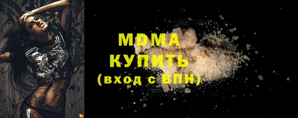 индика Новодвинск