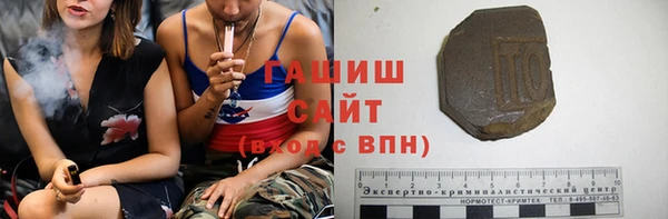 индика Новодвинск