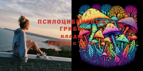 a pvp Новокубанск