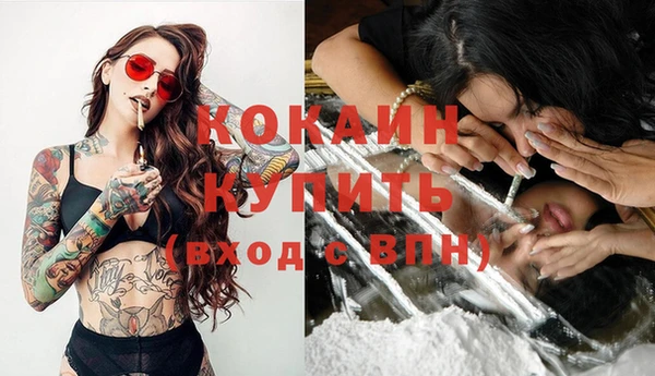 индика Новодвинск
