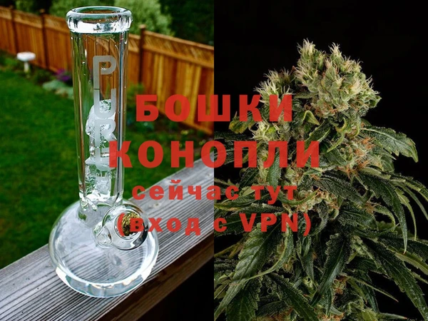 jwh Новозыбков