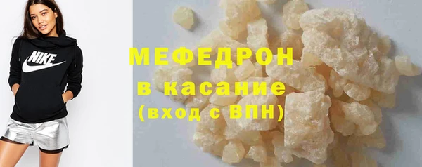 индика Новодвинск