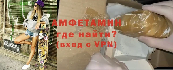 индика Новодвинск