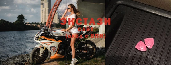 индика Новодвинск