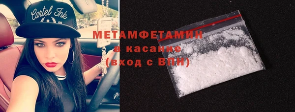 индика Новодвинск