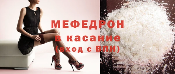 индика Новодвинск