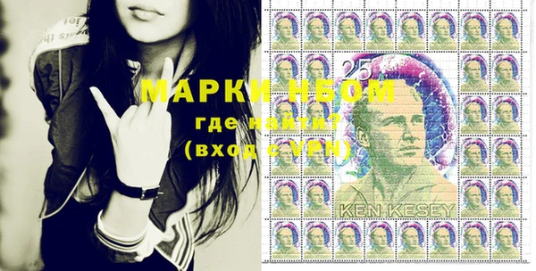 индика Новодвинск