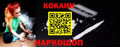 стафф Кингисепп