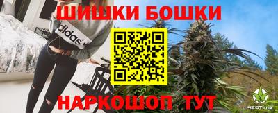 стафф Кингисепп