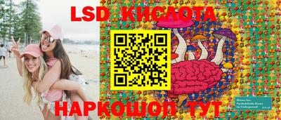 стафф Кингисепп