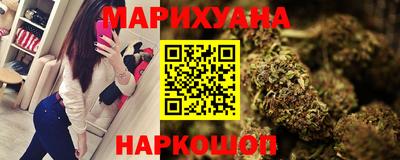 стафф Кингисепп