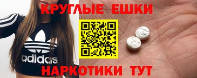 стафф Кингисепп