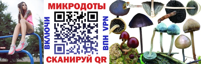 Псилоцибиновые грибы мицелий  ОМГ ОМГ как войти  Новоуральск 
